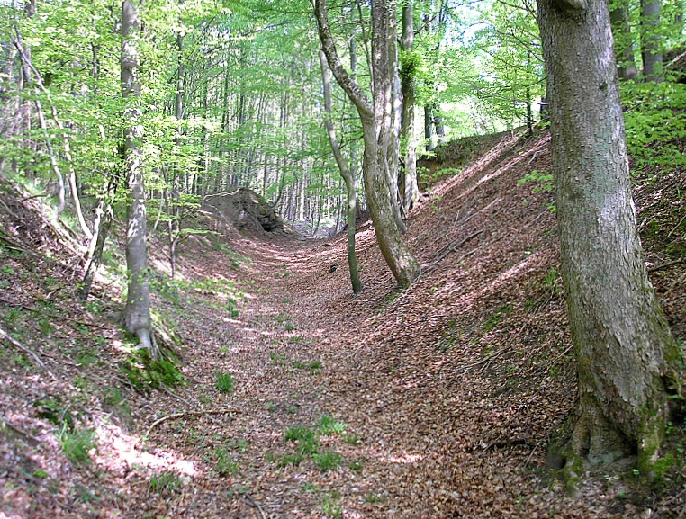 Burgstall Buchhorn, Michelbach an der Bilz, Germany, Germany